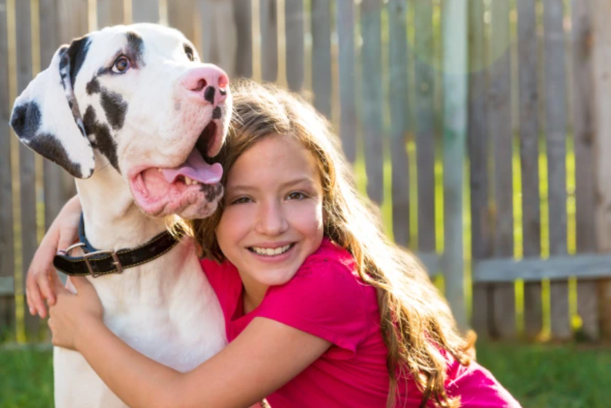 Díieťa objíma veľkú nemecku dogu